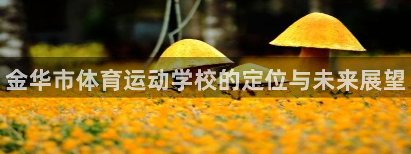 熊猫体育免费下载：金华市体育运动学校的定位与未来展望