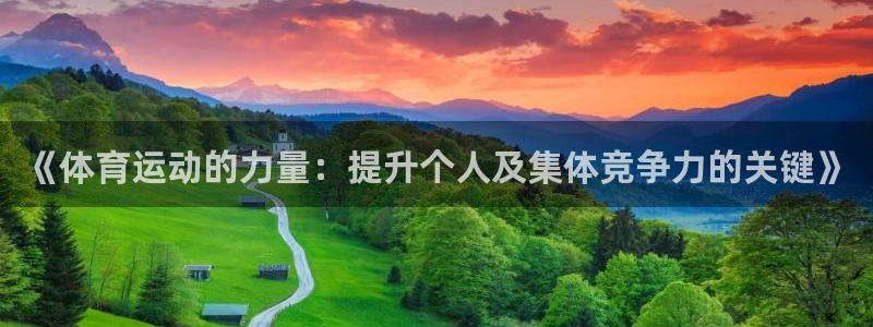 熊猫体育手机版下载：《体育运动的力量：提升个人及集体竞争力的关键》