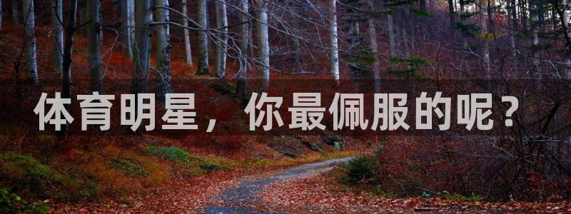 熊猫体育v3.新网页.org：体育明星，你最佩服的呢？
