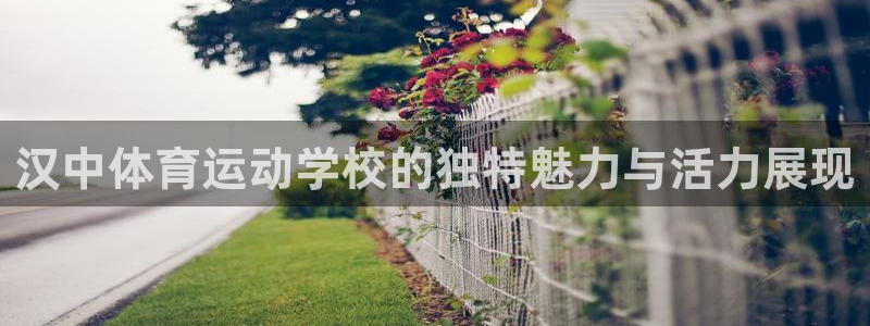 熊猫体育公园价格：汉中体育运动学校的独特魅力与活力展现