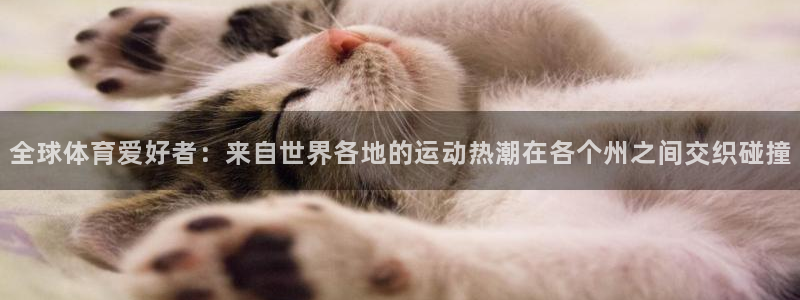 熊猫体育app下载安装：全球体育爱好者：来自世界各地的运动热潮在各个州之间交织碰撞