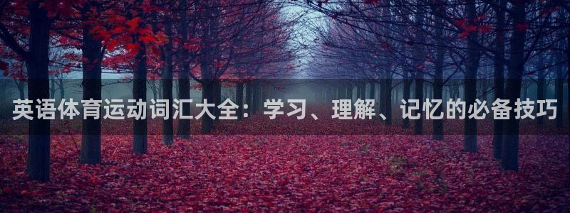 熊猫体育app官方入口：英语体育运动词汇大全：学习、理解、记忆的必备技巧