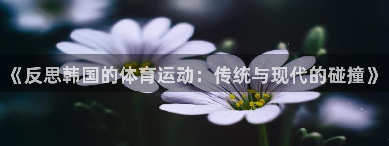 熊猫体育平台官网：《反思韩国的体育运动：传统与现代的碰撞》