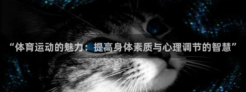 熊猫体育比赛直播：“体育运动的魅力：提高身体素质与心理调节的智慧”