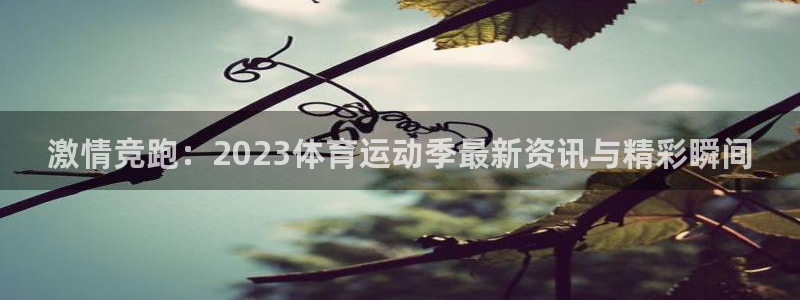 熊猫体育手机版：激情竞跑：2023体育运动季最新资讯与精彩瞬间