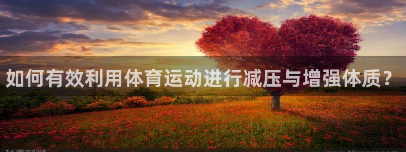 下载熊猫体育：如何有效利用体育运动进行减压与增强体质？