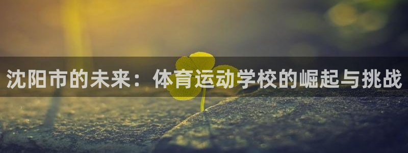 熊猫体育app官网入口：沈阳市的未来：体育运动学校的崛起与挑战