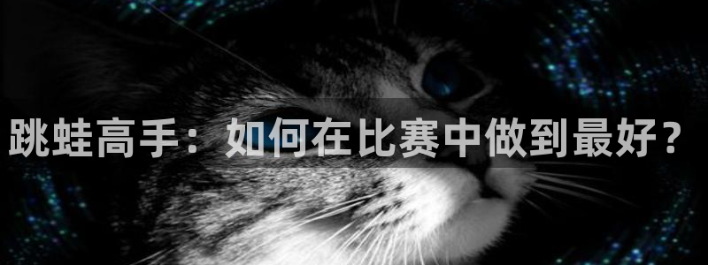 成都金熊猫体育：跳蛙高手：如何在比赛中做到最好？