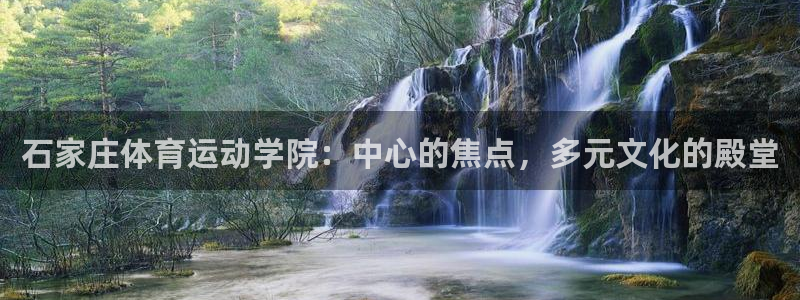 熊猫体育手机版下载：石家庄体育运动学院：中心的焦点，多元文化的殿堂