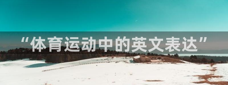 熊猫体育手机版：“体育运动中的英文表达”