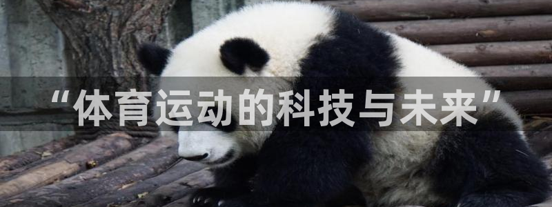 熊猫体育app官方下载最新版：“体育运动的科技与未来”